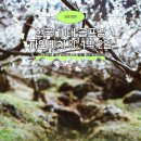 파인비치A 이미지