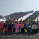행복한태권스쿨 이미지