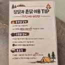 부추먹은포항닭갈비 | 포항 효자동맛집 캠핑감성 닭갈비맛집 장닭과촌닭