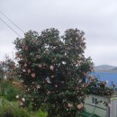 다윗농장 이미지