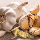 아이스타복싱클럽 이미지