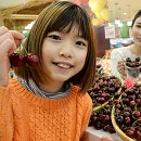 체리마트 이미지