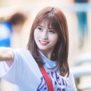 모모그린 이미지