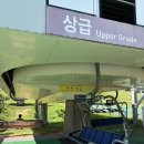대관령5 | 평창 여행에서 가장 짜릿했던 순간! 대관령코스터 솔직 후기 🤍