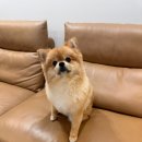 살롱드미미즈 이미지