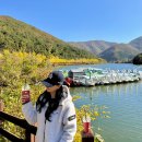 동부 | 거제여행 가볼만한곳 가을 명소 동부저수지 산책 후기