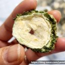 야곱한우농장 이미지