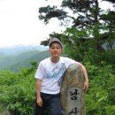 대명(528) 이미지