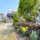 오담애월 이미지