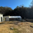 멍편한세상 이미지