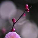 @스마프 이미지