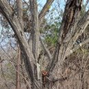 매봉휴게소 이미지