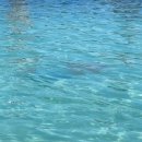 붉은오름자연휴양림3 이미지