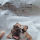 아지동물병원 이미지