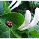 금은화민박 이미지