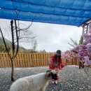 화련농장 이미지