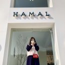 카페하덴