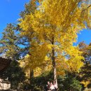 백양사(순천) 이미지