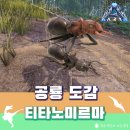 미르마