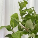 재분농장 이미지