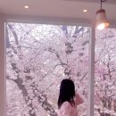 제인 제인(Jane Jane)