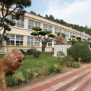 강진군동초등학교 이미지