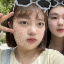 해수한식당 네이버블로그