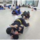 화랑체육관 | 금촌합기도 금촌 화랑 합기도 주짓수에서 얻은 값진 경험