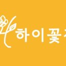 하이꽃집