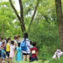 경상남도 수목원 이미지