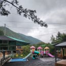 전원펜션 | 자연 속 힐링 캠핑, 경주 전원일기펜션오토캠핑장 후기