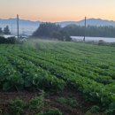 미실농장 이미지