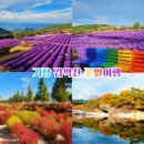 수승대관광지 오토캠핑장 이미지