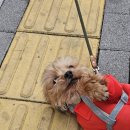 잘자 이미지