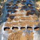 승현1농장 이미지