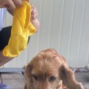 멍스퀘어 이미지