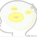 앙꼬당구장 네이버블로그