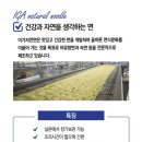 (주)이가 | 트레이더스 실온보관 냉면 이가자연면 동치미물냉면 먹어본 솔직후기