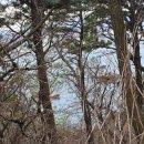 솔밭가든 이미지