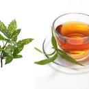 차(茶) Daum카페