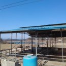 흑석축사 이미지