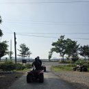 이충 레포츠내부도로 | [태안 ATV] 안면도 ATV, 태안 액티비티, 안면도무지개레포츠 추천 솔직 후기
