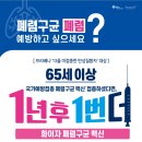 더캠페인 티스토리