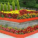 동구청 앞 이미지