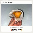 모찌의 하루 서면본점 | SNS에서 핫한 부산 서면 과일 모찌 맛집 “ 모찌의하루 ” 솔직 후기
