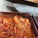 신안농장 | 해남 아르뫼농장 김장 도전 성공! 배추 맛부터 양념까지 완벽했던 날