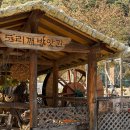 부엉이민박 | 인제 자작나무숲 찐맛도리 카페 하추리 쑥라떼 서리태크림라떼