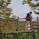 4호선 석대역 | 2025년 5월 해운대 수목원 후기 - 주차장, 교통편, 추천코스까지 총정리