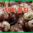 좋은돼지 - 연제구 과정로294번가길 17 | 좋은돼지
