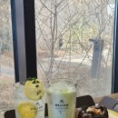 무궁화어린이공원 수 | 포항 실내 가볼 만한 곳 환호공원 식물원 무료입장 후기